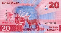 Zambia ZMB-P-W63, 20 Kwacha, 2024, Halcón/Árbol candelabro, cataratas Chishimba, kudus, UNC