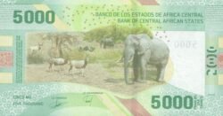 Central African States-P-W703, 5000 Fcos., Reverso Elefantes 2020, Híbrido, UNC