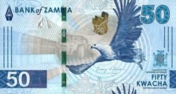 Zambia ZMB-P-W64, 50 Kwacha, 2024, Halcón/Pareja Loros, UNC