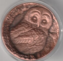 Samoa SAM Moneda 25 Cents, 2023, Lechuza