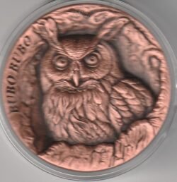 Samoa SAM Moneda 25 Cents, 2024, Buho
