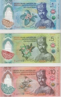 Brunei BRU-P-W41/W42/W43, 1-5-10 $, Serie corta, Polímero, UNC