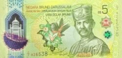 Brunei BRU-P-W42, 5 $, 2024, Polímero, UNC