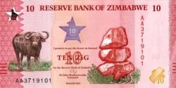 Zimbabwe ZMB-P-W115, 10 Zig, 2026, Ñu, UNC