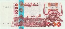 Argelia ALG-P-142b(2), 1.000 Dinars, 10-6-1998, Nº 31081, Look Scand, XF-